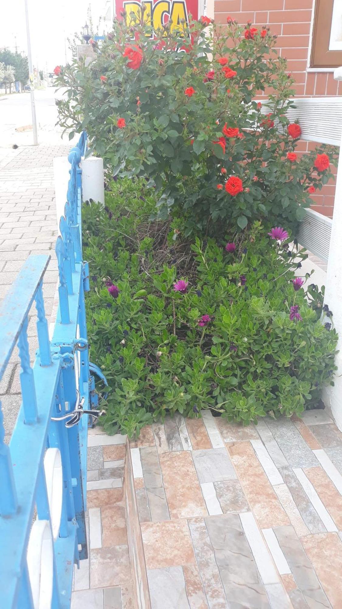 Vila Shuka Ksamil Saranda Zewnętrze zdjęcie