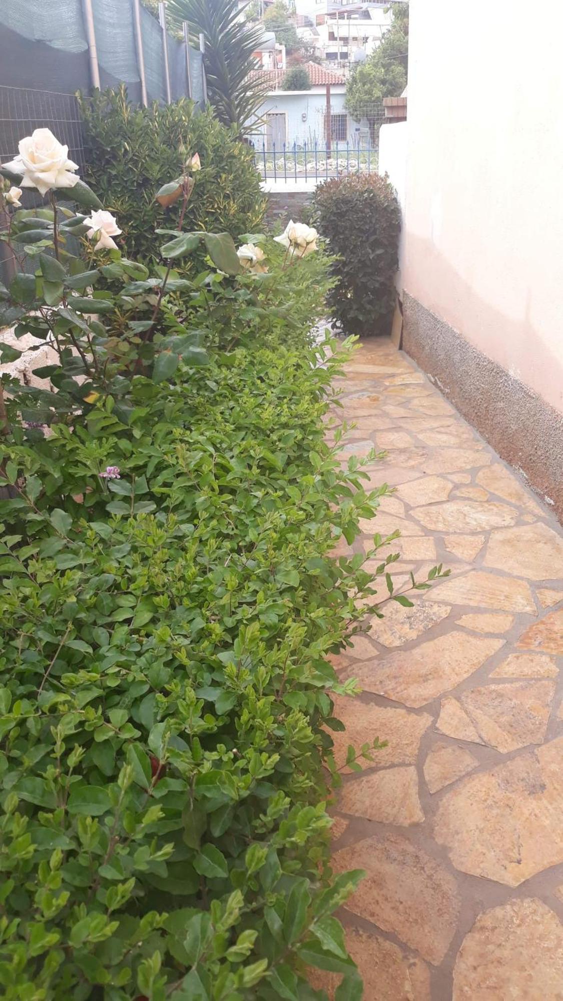 Vila Shuka Ksamil Saranda Zewnętrze zdjęcie